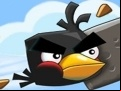 Juego Crazy Birds