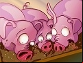 Juego Run Pig Run