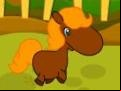 Juego Pony Races