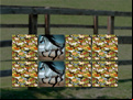 Juego Horse Memo Deluxe