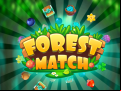 Juego Forest Match