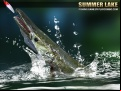 Juego Summer Lake 1.5