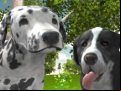 Juego Dog Simulator 3d