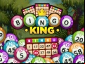Juego Bingo King