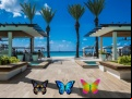 Juego Find 100 butterflies