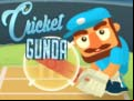 Juego Cricket Gunda