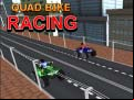 Juego Quad Bike Racing