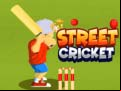 Juego Street Cricket