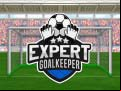 Juego Expert Goalkeeper