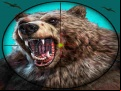 Juego Wild Bear Hunting