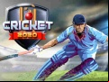 Juego Cricket 2020