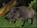 Juego Wild boar Hunting