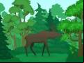 Juego Wild Animals Coloring