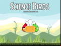 Juego Science Birds