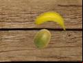 Juego Fruit Shooting