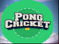 Juego Pong Cricket