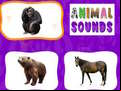 Juego Animal Sounds