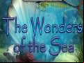 Juego New Sea Wonders