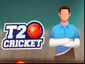 Juego T20 Cricket