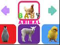 Juego Baby Animal