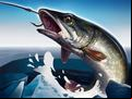 Juego Ice Fishing 3D