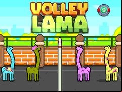 Juego Volley Lama