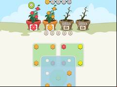 Juego Flower Collection