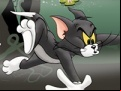 Juego Tom And Jerry Chase In Marsh