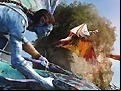Juego Avatar: Find The Numbers
