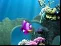 Fish eat fish juegos 