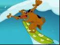 Surfing Games 