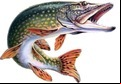juegos de pesca 